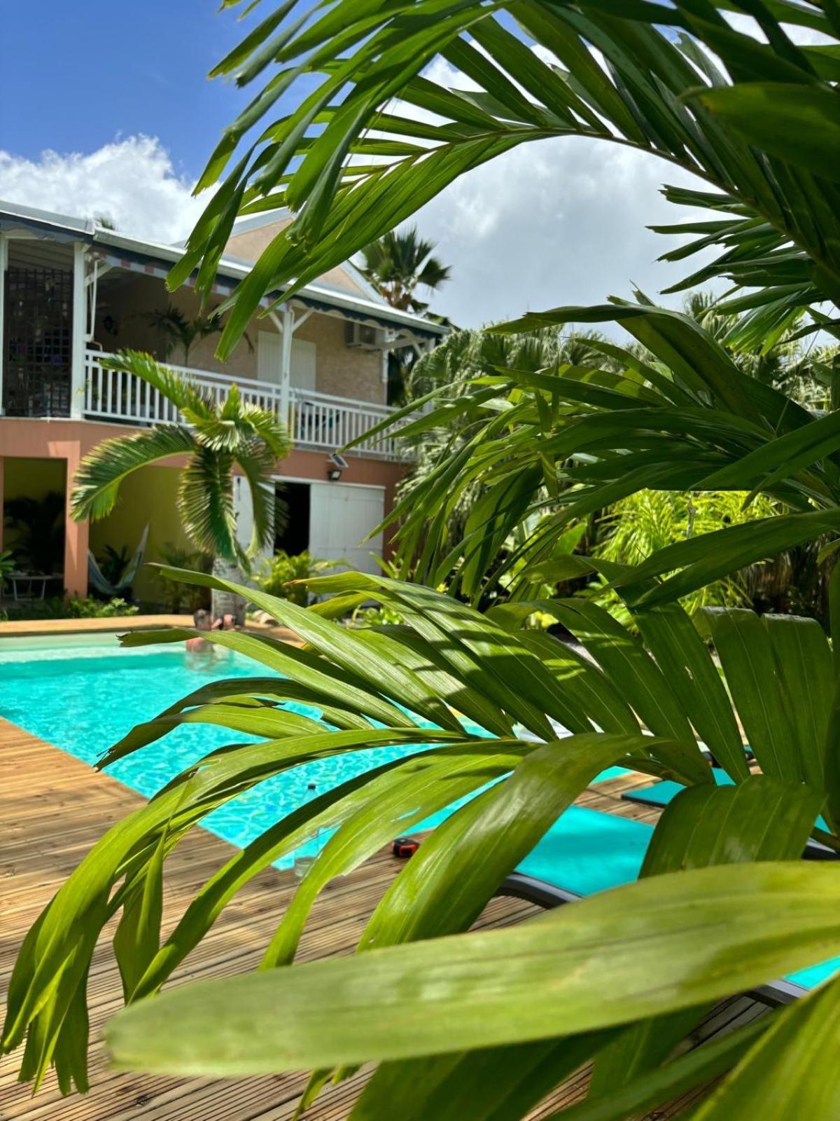 Le Petit Havre Tropical Guadeloupe, Gite, Massages & Spa 圣弗朗索瓦 外观 照片
