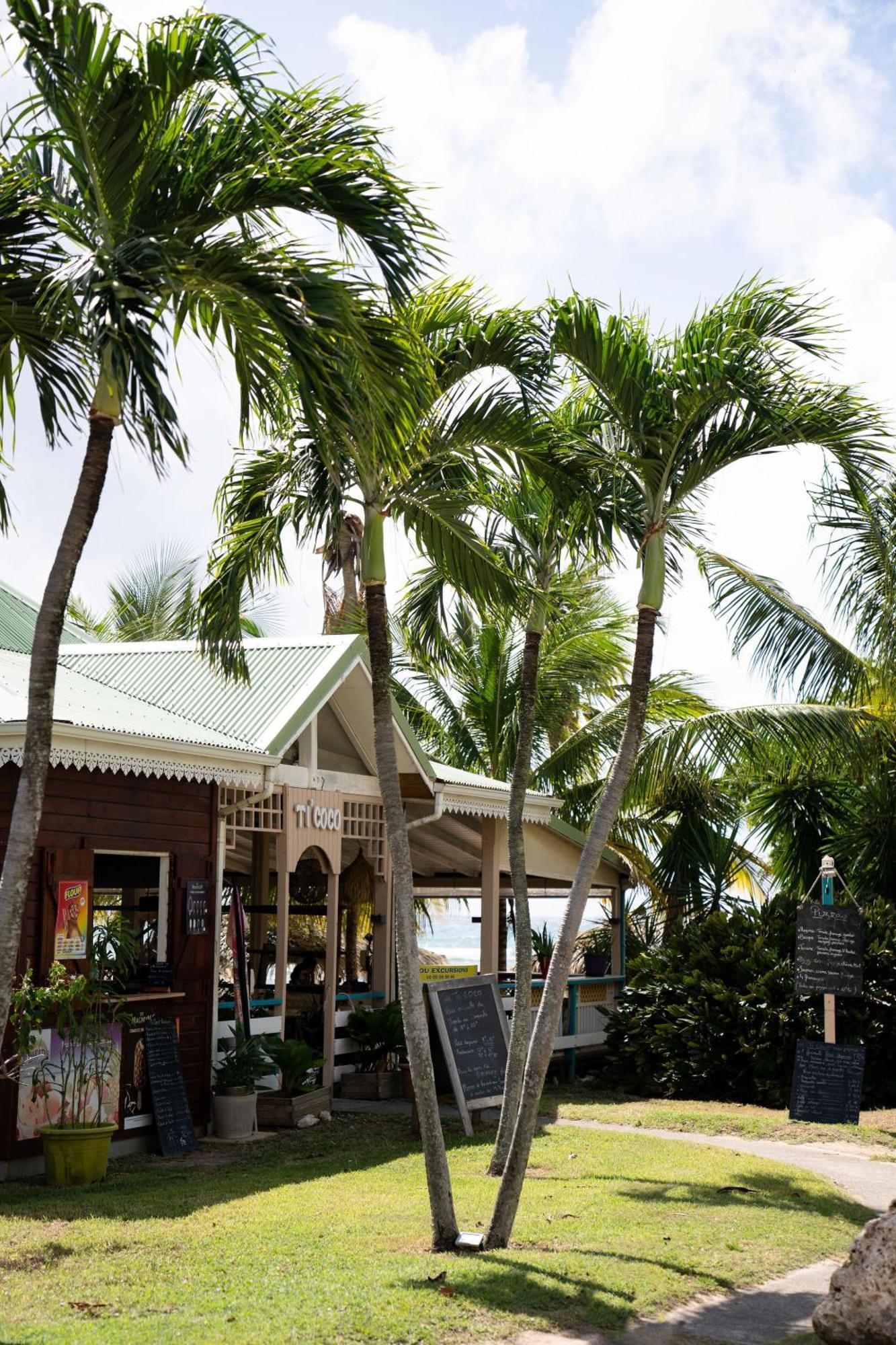 Le Petit Havre Tropical Guadeloupe, Gite, Massages & Spa 圣弗朗索瓦 外观 照片