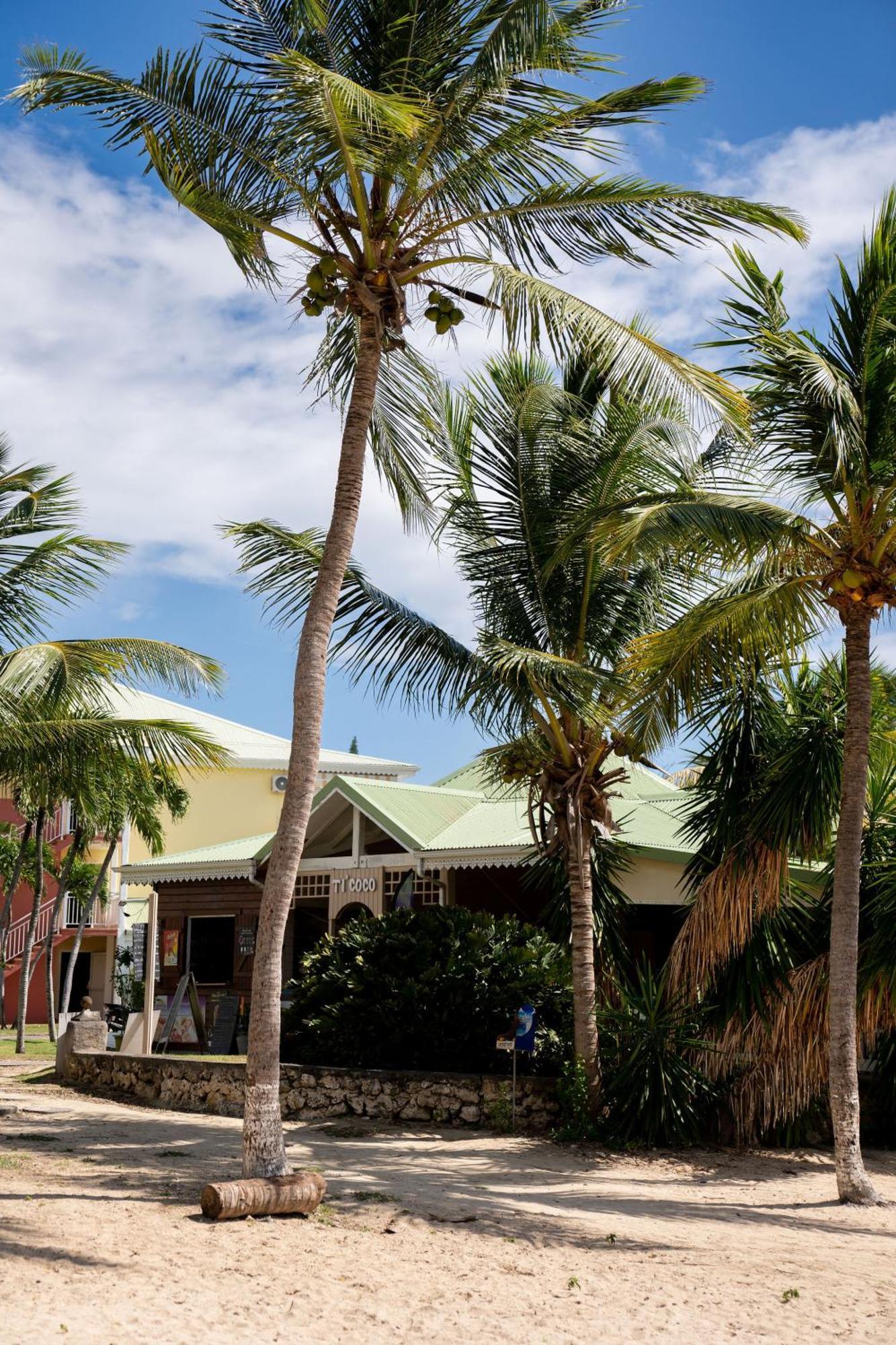 Le Petit Havre Tropical Guadeloupe, Gite, Massages & Spa 圣弗朗索瓦 外观 照片