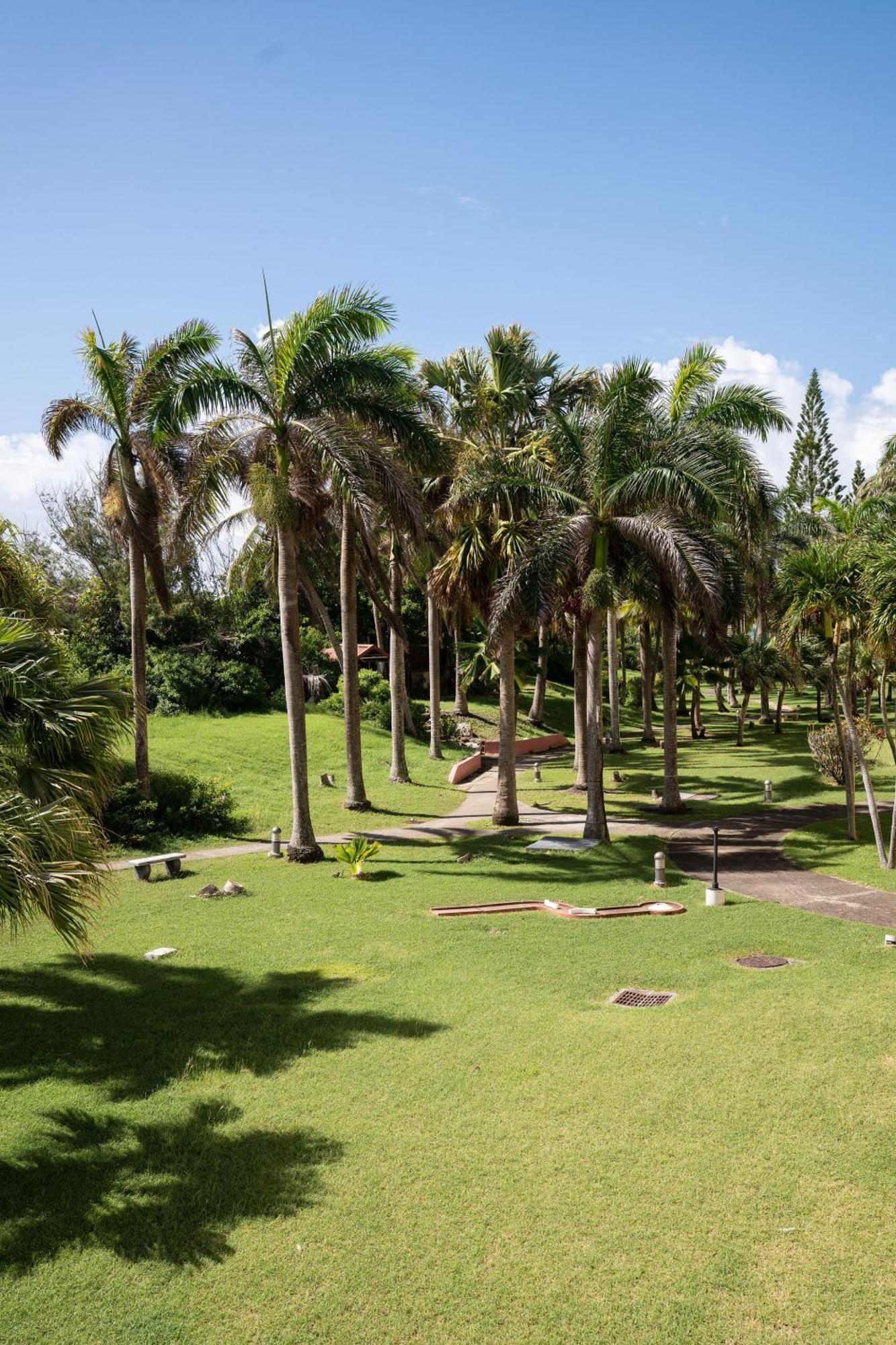 Le Petit Havre Tropical Guadeloupe, Gite, Massages & Spa 圣弗朗索瓦 外观 照片