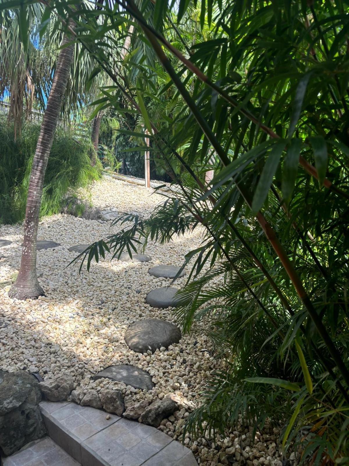 Le Petit Havre Tropical Guadeloupe, Gite, Massages & Spa 圣弗朗索瓦 外观 照片